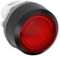 morepic-5