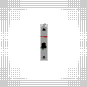 morepic-4