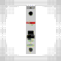 morepic-4