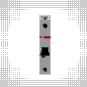 morepic-4