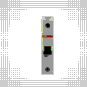 morepic-4