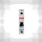 morepic-4