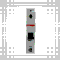 morepic-4