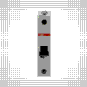 morepic-4