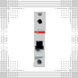 morepic-4