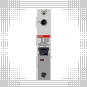morepic-4
