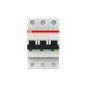 morepic-1