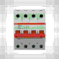 morepic-4
