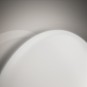 morepic-10