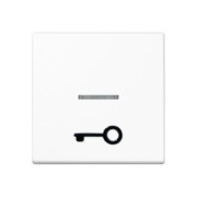 Wippe abt.Symbol TÜR aws für beleuchtb.Taster A 590 T1KO WW 
