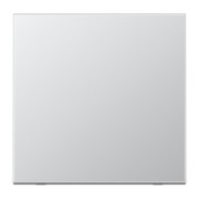 Steuertaste Standard AL 1700 