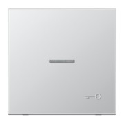 Wippe geprägtes Symbol Tür aluminium AL 2990 KO5 TP 