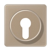 Abdeckung gold brz für Schlüsselschalt. CD 528 GB 
