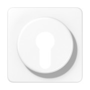 Abdeckung aws für Schlüsselschalt. CD 528 WW 