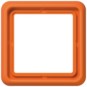 morepic-1