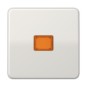 morepic-1