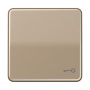 Wippe Symbol TÜR gold brz für Taster CD 590 T GB 