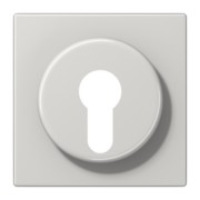 Abdeckung lgr für Schlüsselschalt. LS 928 LG 