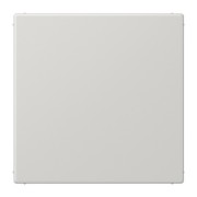 Blind-Abdeckung lgr kompl.mit Tragring LS 994 B LG 