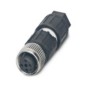 morepic-1
