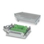 morepic-1