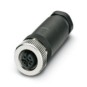 morepic-1