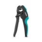 morepic-1