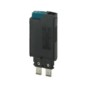 morepic-1