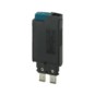 morepic-1