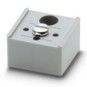 morepic-1