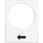 morepic-1
