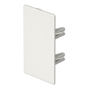 Endstück 60x110mm WDKH-E60110RW 