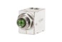 morepic-1