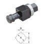 morepic-1