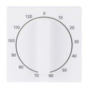 Zentralscheibe stud-ws/mt Bedienelement 1771-884-103 