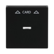 Zentralscheibe sw mt für Cardschalter 1792-885 