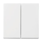 Wippe aws Busch-balance SI 2505-914 