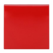 Wippe rt Busch-balance SI 2506-917 