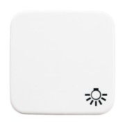 Wippe aws mit Symbol Licht 2520 LI-214 
