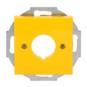 morepic-1