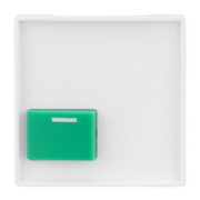 Zentralscheibe alpinws Licht-Ton-Rufsysteme 2548-642 C-914 