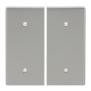 Wippe 2-fach Elektroniktaster 2570-20-866 