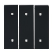 Wippe 3-fach Elektroniktaster 2570-30-81 