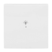 Wippe aws Busch-balance SI 6231-10-914 