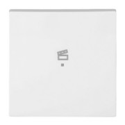 Wippe aws Busch-balance SI 6233-10-914 