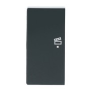 Wippe 2-f li Symbol Szene anthrazit 6233-21-81 