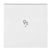 Wippe aws Busch-balance SI 6234-10-914 