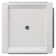 style Blind-Abdeckplatte tws 5TG1330 