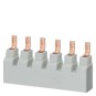 morepic-1
