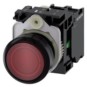 morepic-1